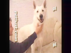 Rubia penetrada por un caballo en la cuadra