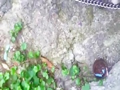 Con rabo en mano y entre las piernas