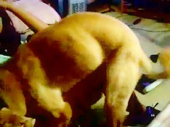 Thumb 16