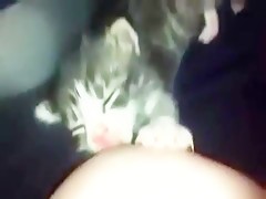 Spicy Asian chick Ruri Saijoh engulfs cock and enjoys titfuck