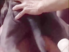 Sexo con el perro en pleno campo