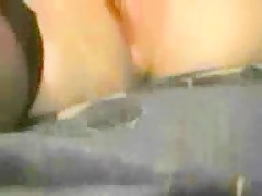 Bloodhound licks womans shaved pussy