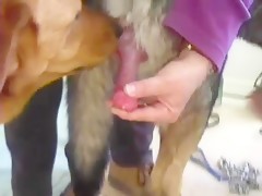 Mi amante secreto