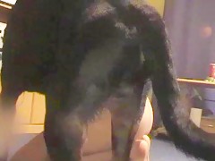 Dog and pig raped