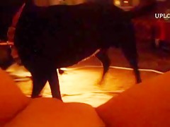 Hanna y Charu Horse Threesome