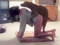 P1 Horse and dog fucks kitty teen slave